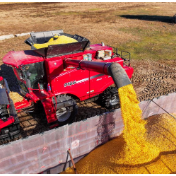 国家粮食和物资储备局：扎实做好秋粮收购和产销衔接各项工作