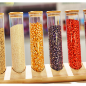 农作物种子经过“量子赋能”可增产增收？