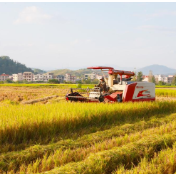 特写:“科技秋收”谷满仓