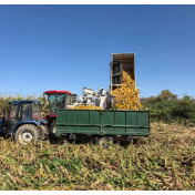 新华时评丨千方百计打好秋收秋种这场硬仗