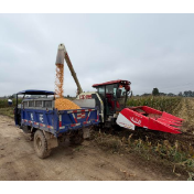 如何打好秋收秋种这场硬仗？