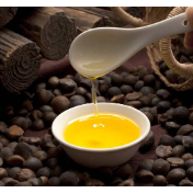 “十四五”期间茶油产量大幅提高