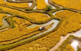 粮食生产体系稳健性持续增强