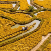 粮食生产体系稳健性持续增强