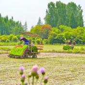 优化粮食种植结构提升科技含量