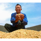 国家粮食和物资储备局在成都召开粮食收购贷款信用保证基金工作推进会