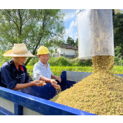 把粮食收储服务搬到田埂上