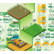 「回眸“十四五”」夯实粮食安全根基