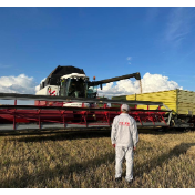 一捧中亚小麦的东方之旅