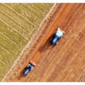 秋播虽延后 丰收仍有盼