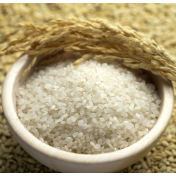 外媒：中国在全球粮食安全和价值链中发挥重要作用