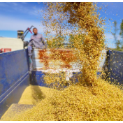 把准“十五五”时期历史方位 推动粮储事业高质量发展