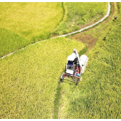 全方位夯实粮食安全根基