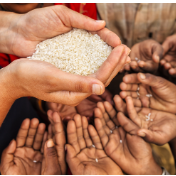 世粮署:2026年将有3.18亿人面临严重饥饿