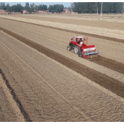 今冬不放松,来年“丰”可期——多地冬种及田间管护见闻