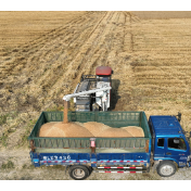 粮食销售合同作为信用抵押物来贷款 湖北试点“粮食订单融资”首单成交