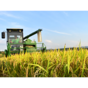 经济日报:粮食稳产高产靠什么?