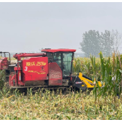 国家发展改革委:灾害天气对粮食产量影响总体可控
