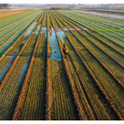 全国秋粮收获过九成 冬小麦播种过两成半