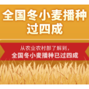 全国冬小麦播种过四成
