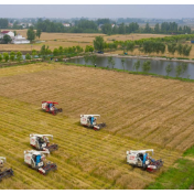 稳健机制筑牢粮安根基