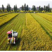 智慧耕种收成好