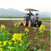 夯实粮食安全数智基础