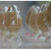 四中全会精神解读·市场最前沿丨从一粒稻种看中国种企创新路