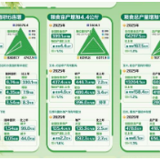 粮食高位增产增添发展底气