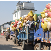 秋粮收购一线探访