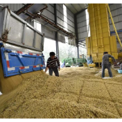 “钱等粮”助力粮归仓