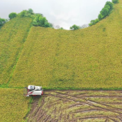 补短板强弱项，进一步夯实粮食安全根基