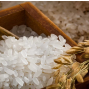 大米“稻强米弱”格局下，出口发力对冲进口压力