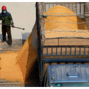 我国粮食流通能力持续提升