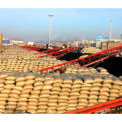 深一度 |“北粮南运”跑出加速度