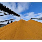 共同端牢“中国饭碗”