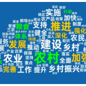 粮食、行动……中央一号文件里出现了哪些高频词？