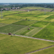 打造优质粮源基地 湖南衡阳县举行粮食签约订单会