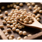 滥施关税！美国大豆销量一周骤降50%