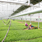 新闻分析：近期天气对春耕春种影响几何？
