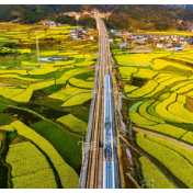 重磅规划发布！如何梯次推进农业强国建设 专家解读