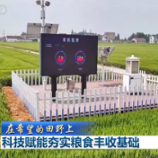 【在希望的田野上】科技赋能夯实粮食丰收基础