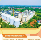 粮食住进“好房子”