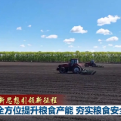 新思想引领新征程丨全方位提升粮食产能 夯实粮食安全根基
