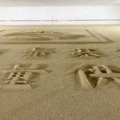 守护中国饭碗，粮食流通领域“黑科技”上新