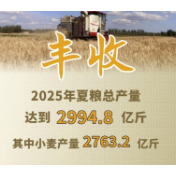新华社权威快报丨今年全国夏粮获得丰收 总产量达2994.8亿斤
