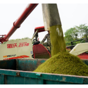 强化粮食全链条监测预警