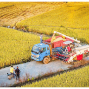我国3年共减少粮食损失超500亿斤