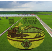 提升耕地数量质量，国务院常务会议有新部署