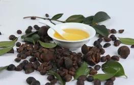 湖南省油茶林面积、茶油产量、年总产值均居全国首位